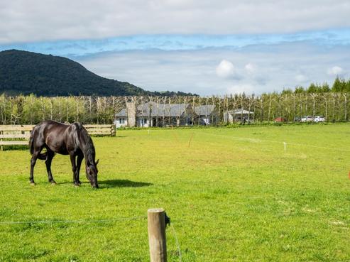 1 William Hawken Lane, Maungatapere