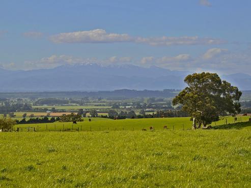 71 Southdown Drive, Martinborough
