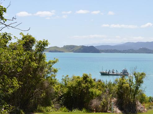 15 Puriri Road, Te Kouma