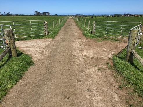 1565 Skeet Road, Manaia