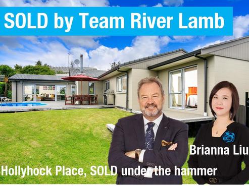 9 Hollyhock Place, Browns Bay