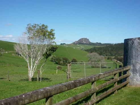 42 Wilkins Road, Arapohue