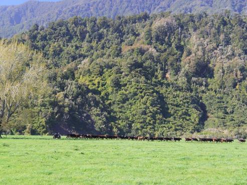 141 Mokihinui Road, Seddonville
