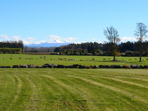 4 Meadowlinks Lane, Pleasant Point
