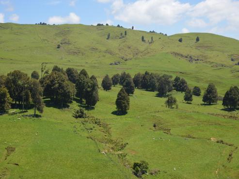 12 State Highway 3, Turakina