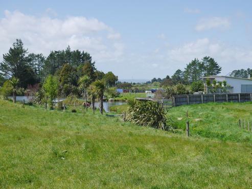 579 Alfred Road, Inglewood