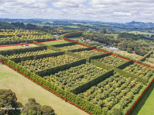 143 Norris Road, Maungatapere