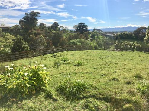 6 Carnmore Court, Feilding
