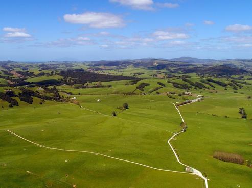 295 Waiteitei Road, Wellsford
