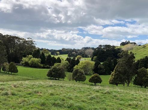 66 Berry Road, Hastings Country