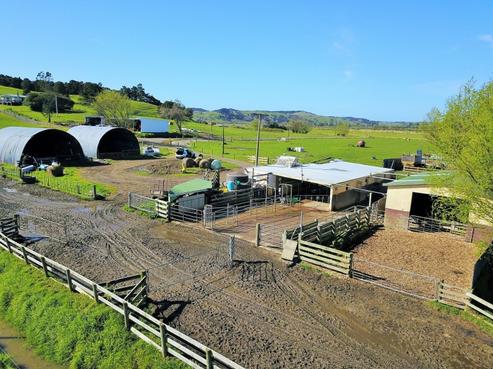 816 Hoanga Road, Dargaville Surrounds