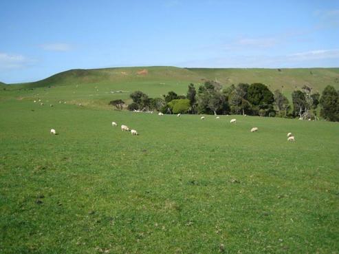 108 Kokonga East Road, Port Waikato