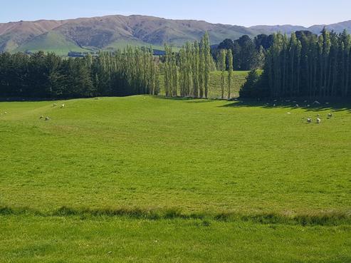 958 Waihaorunga Back Road, Elephant Hill
