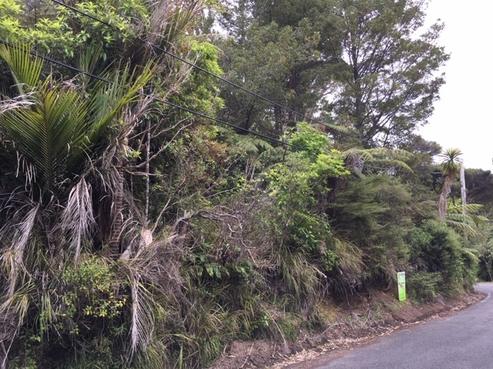 45 Lone Kauri Road, Karekare