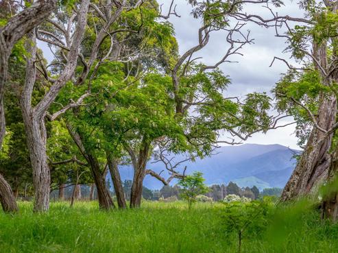 106 Cross Line, Greytown