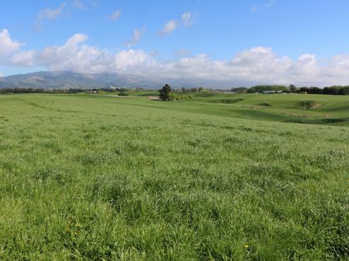 90 Rattrays Road, Makikihi