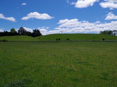 32 Pourerere Road, Waipawa
