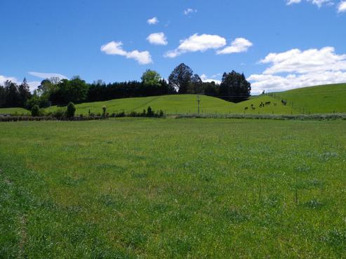 30 Pourerere Road, Waipawa