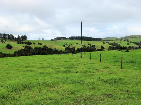 66 Proud Road, Dargaville Surrounds
