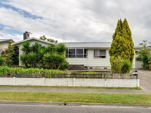 25 Plunket Street, Tamatea