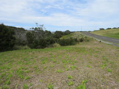 28 Akeake Crescent, Karikari Peninsula