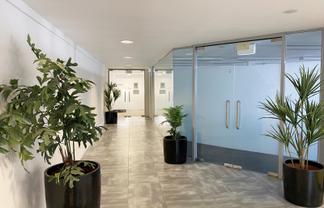 CBD office