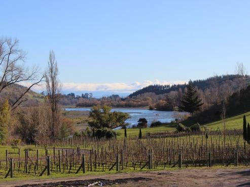 1372 Tuki Tuki Road, Havelock North