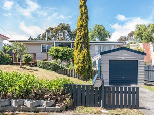 91 Leinster Avenue, Raumati South