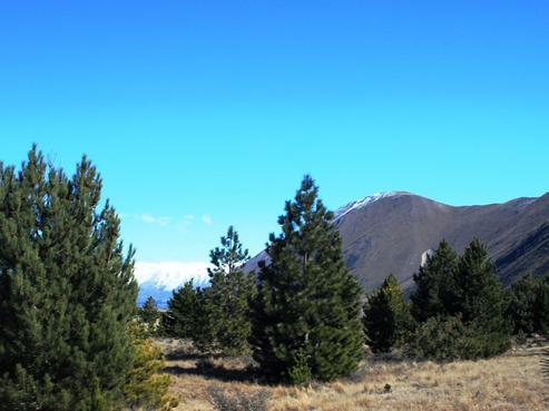 53 Flanagan Lane, Twizel