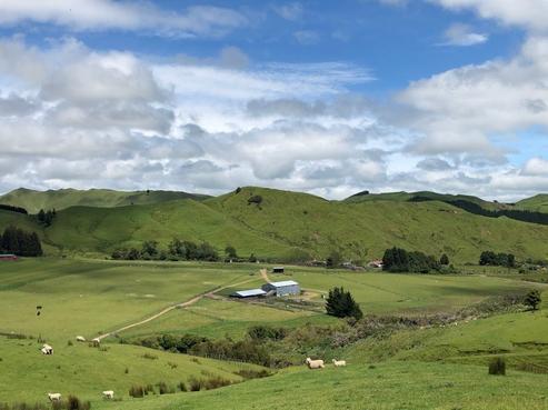 558 Pukeatua Road, Dannevirke