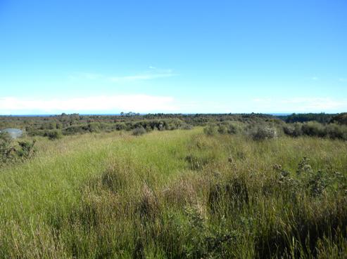 29C Reg Cox Drive, Kaniere