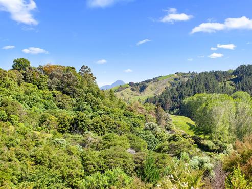 4 Foxglove Drive, Ohope