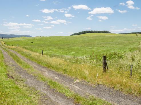 1898 Ngamotu Road, Murupara Surrounds