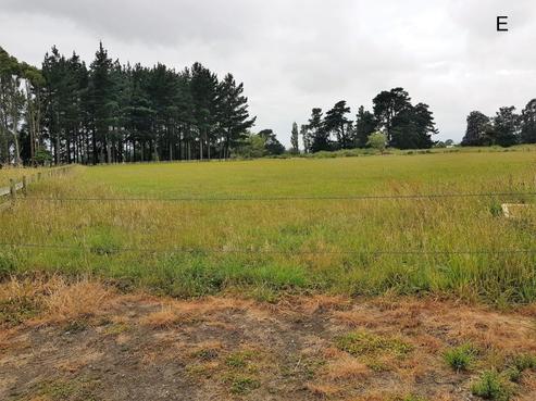 38E Laws Road, Dannevirke
