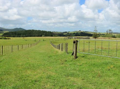 1425 State Highway 12, Dargaville Surrounds