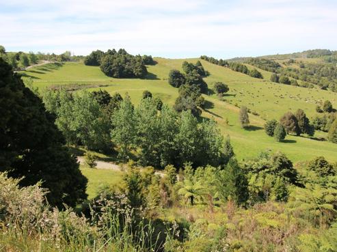 964 Pungaere Road, Kerikeri Surrounds