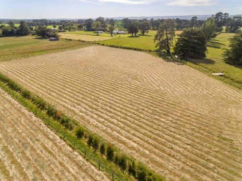 228A Wood Street, Featherston