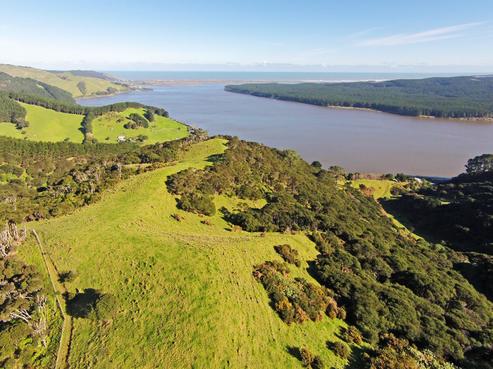 2133 Tuakau Bridge-port Waikato Road, Port Waikato