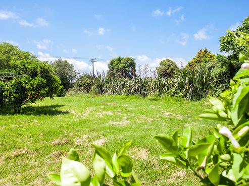 117 Goring Street, Opotiki and Surrounds