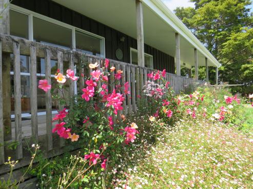 123 Massey Road, Maungaturoto