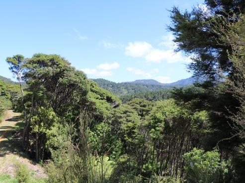 2 Harpoon Hill, Great Barrier Island