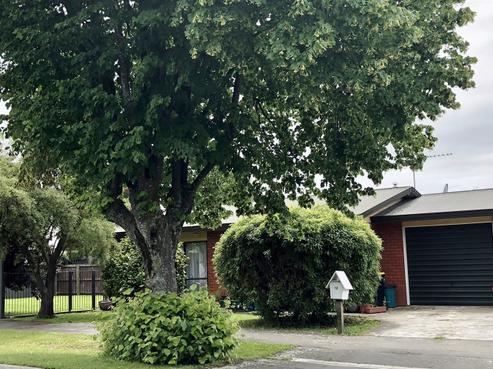 12 Ayers Street, Rangiora