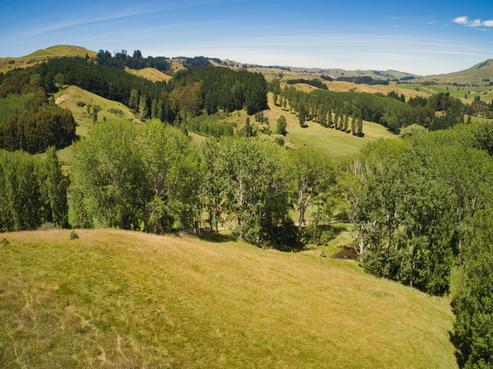 567 Maraetotara Road, Havelock North