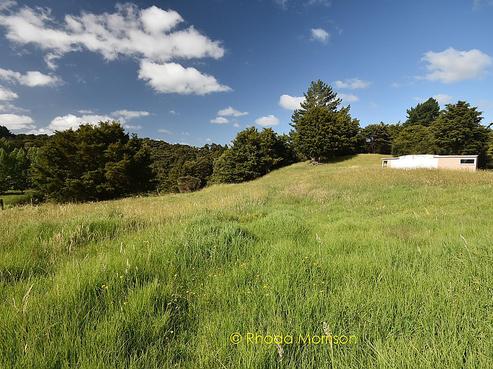 461C Pahi Road, Paparoa