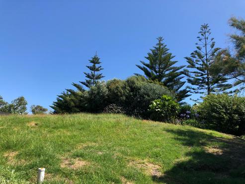 22 Ruru Road, Otaihanga