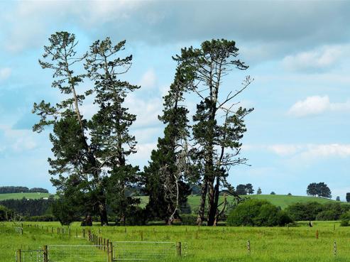 494 Kawhia Road, Otorohanga