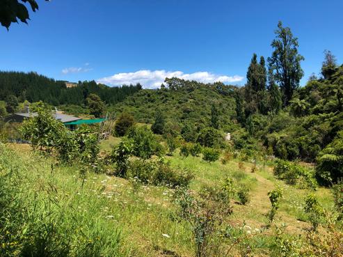 8 Mockingbird Ridge, Pohara