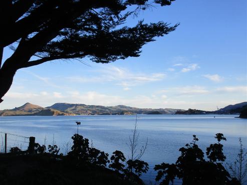 421 Aramoana Road, Aramoana