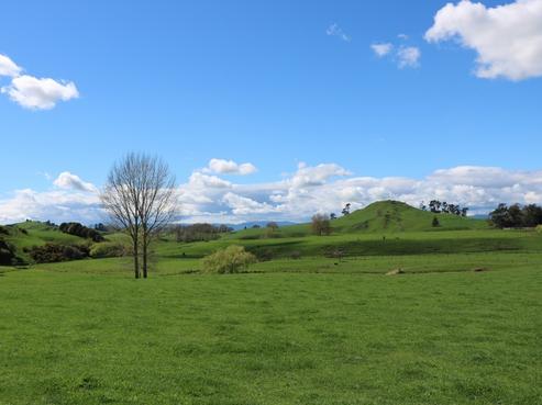 98 Paparamu Road, Tirau