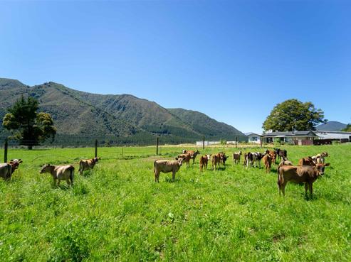 614 Gowan Valley Road, Murchison